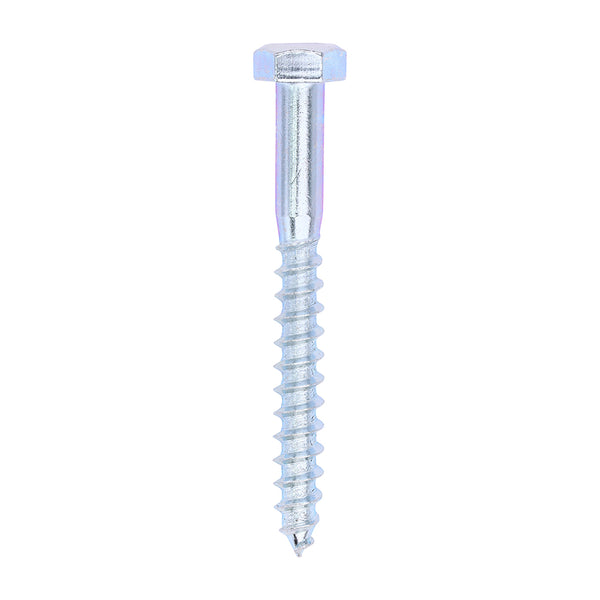 Zinc Coach Screw