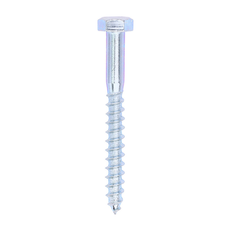 Zinc Coach Screw